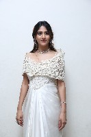 Chandini Chowdary at Yevam Pre Release